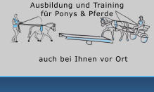 Ausbildung und Training  fr Ponys & Pferde auch bei Ihnen vor Ort