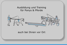 Ausbildung und Training  fr Ponys & Pferde auch bei Ihnen vor Ort