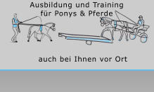 Ausbildung und Training  fr Ponys & Pferde  auch bei Ihnen vor Ort